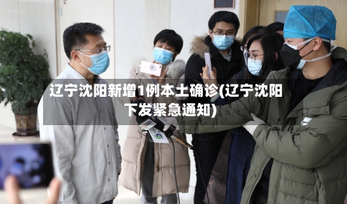 辽宁沈阳新增1例本土确诊(辽宁沈阳下发紧急通知)