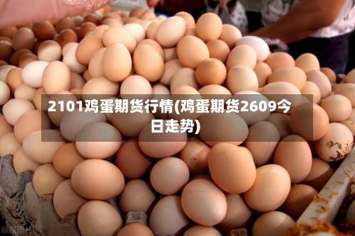 2101鸡蛋期货行情(鸡蛋期货2609今日走势)