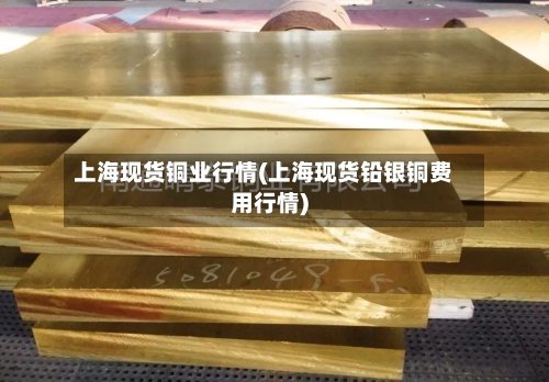 上海现货铜业行情(上海现货铅银铜费用行情)