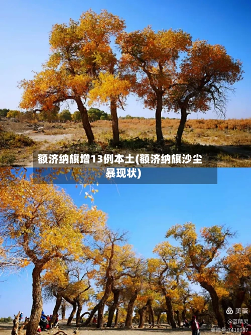 额济纳旗增13例本土(额济纳旗沙尘暴现状)-第2张图片