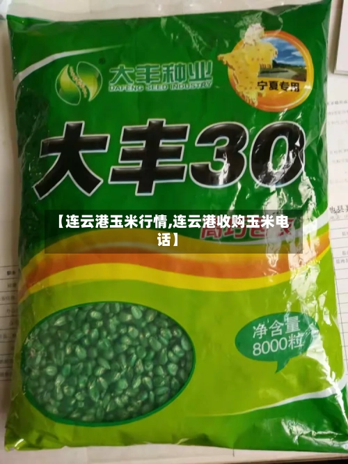 【连云港玉米行情,连云港收购玉米电话】