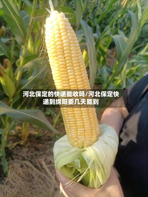 河北保定的快递能收吗/河北保定快递到绵阳要几天能到