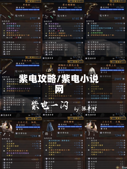 紫电攻略/紫电小说网-第2张图片