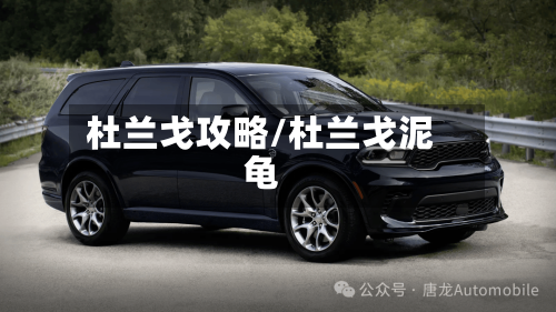 杜兰戈攻略/杜兰戈泥龟