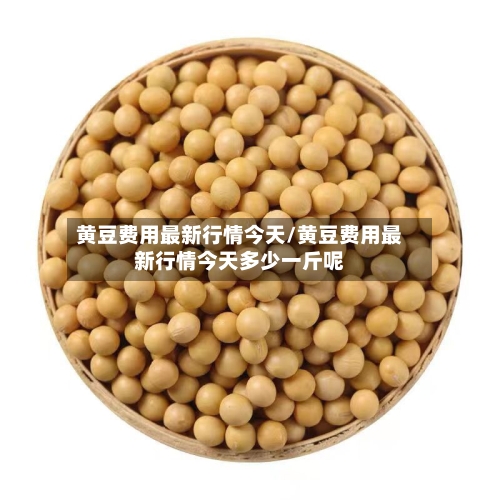黄豆费用最新行情今天/黄豆费用最新行情今天多少一斤呢