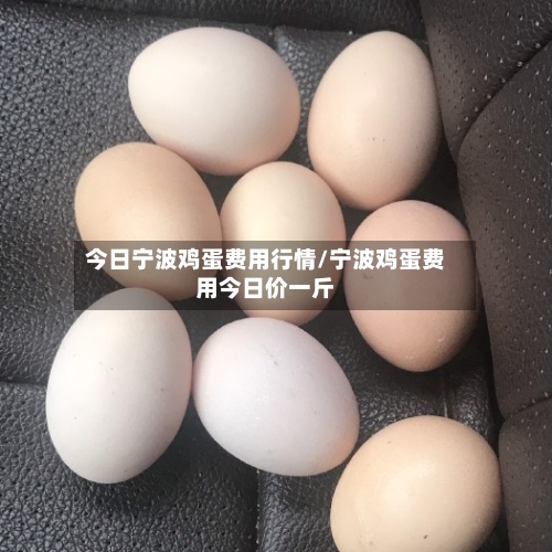 今日宁波鸡蛋费用行情/宁波鸡蛋费用今日价一斤