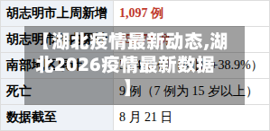 【湖北疫情最新动态,湖北2026疫情最新数据】-第2张图片