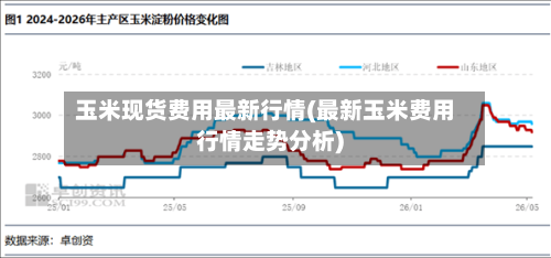 玉米现货费用最新行情(最新玉米费用行情走势分析)