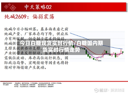 今日白糖现货实时行情/白糖国内期货实时行情走势-第2张图片