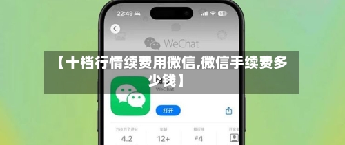 【十档行情续费用微信,微信手续费多少钱】