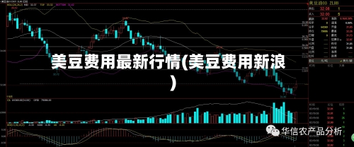 美豆费用最新行情(美豆费用新浪)-第3张图片