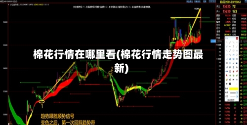 棉花行情在哪里看(棉花行情走势图最新)-第3张图片