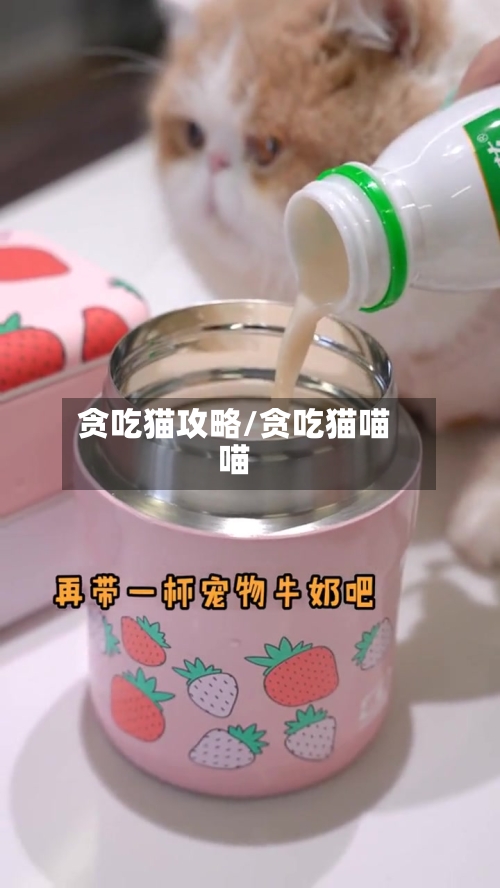 贪吃猫攻略/贪吃猫喵喵-第2张图片