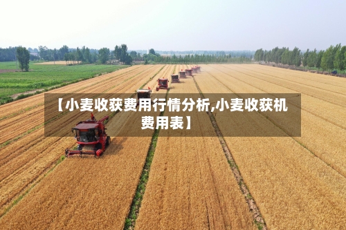 【小麦收获费用行情分析,小麦收获机费用表】