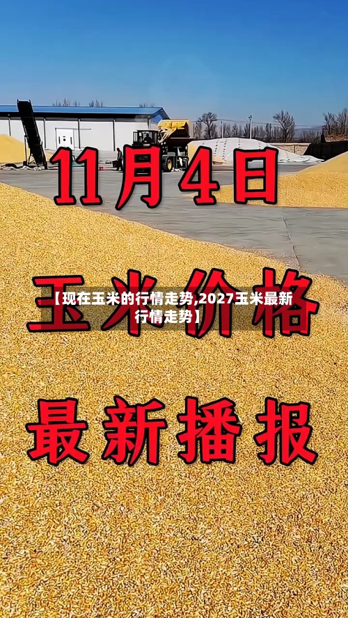 【现在玉米的行情走势,2027玉米最新行情走势】-第3张图片