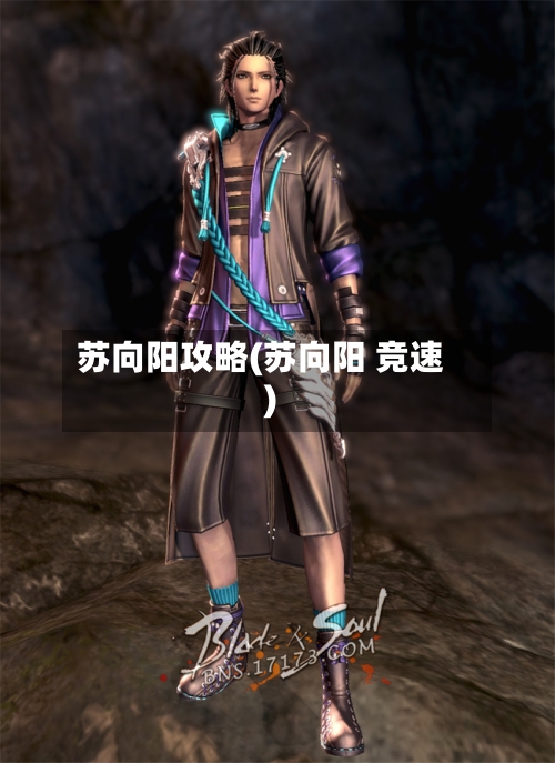 苏向阳攻略(苏向阳 竞速)