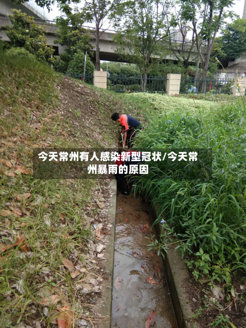 今天常州有人感染新型冠状/今天常州暴雨的原因-第2张图片