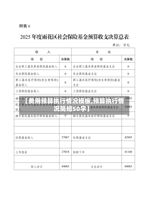 【费用预算执行情况模板,预算执行情况简短50字】-第2张图片