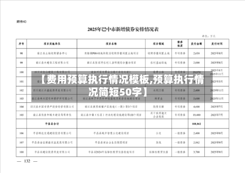 【费用预算执行情况模板,预算执行情况简短50字】-第3张图片