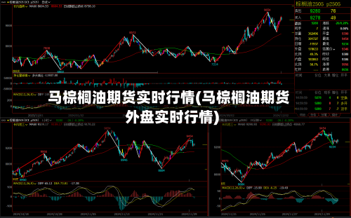 马棕榈油期货实时行情(马棕榈油期货外盘实时行情)-第2张图片