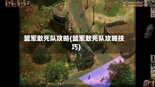 盟军敢死队攻略(盟军敢死队攻略技巧)