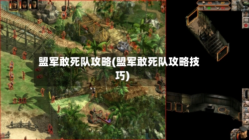 盟军敢死队攻略(盟军敢死队攻略技巧)-第2张图片