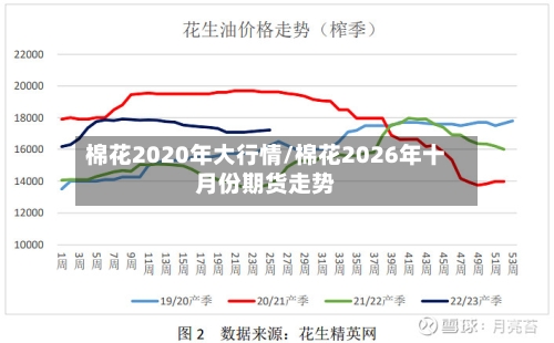 棉花2020年大行情/棉花2026年十月份期货走势-第2张图片