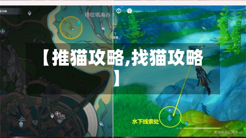 【推猫攻略,找猫攻略】-第2张图片