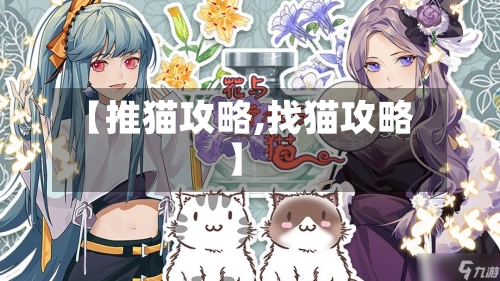 【推猫攻略,找猫攻略】-第3张图片