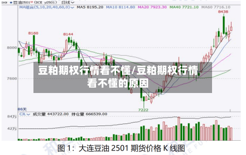 豆粕期权行情看不懂/豆粕期权行情看不懂的原因