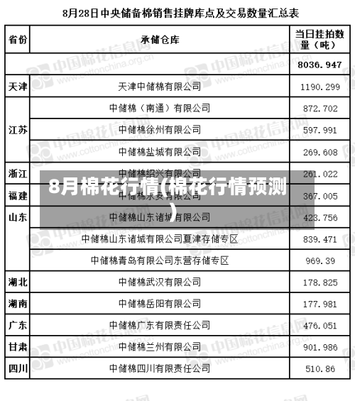8月棉花行情(棉花行情预测)