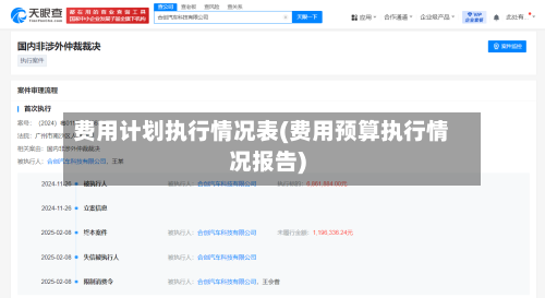 费用计划执行情况表(费用预算执行情况报告)