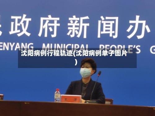 沈阳病例行程轨迹(沈阳病例单子图片)