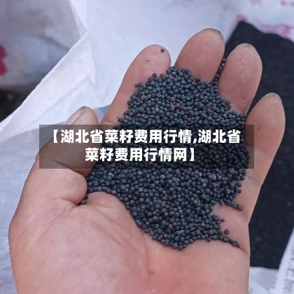 【湖北省菜籽费用行情,湖北省菜籽费用行情网】