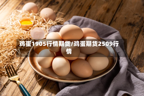 鸡蛋1905行情期货/鸡蛋期货2509行情