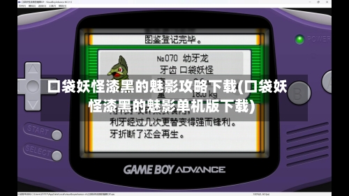 口袋妖怪漆黑的魅影攻略下载(口袋妖怪漆黑的魅影单机版下载)