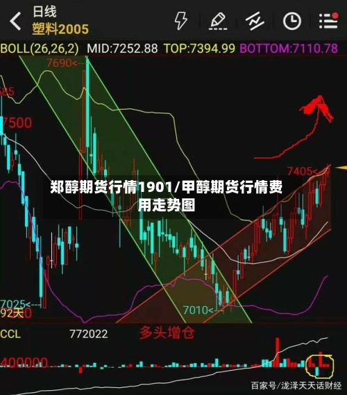 郑醇期货行情1901/甲醇期货行情费用走势图