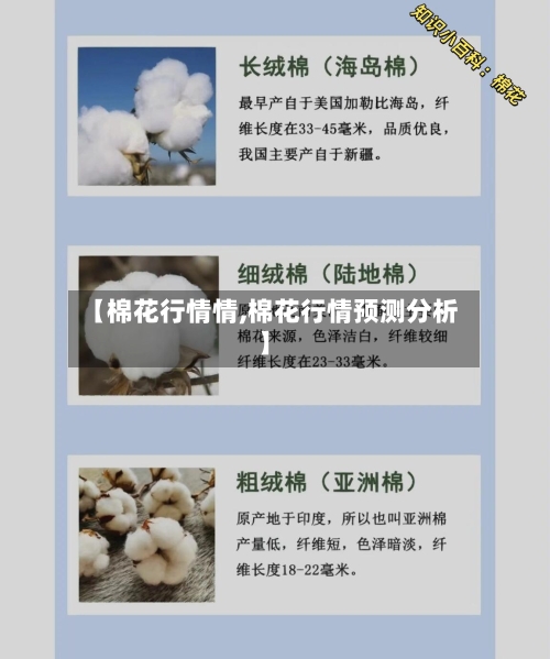 【棉花行情情,棉花行情预测分析】
