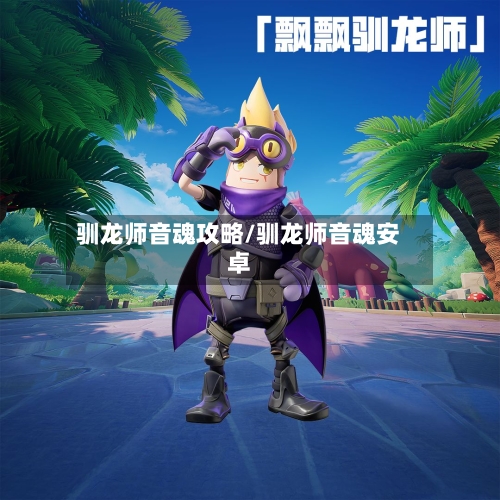 驯龙师音魂攻略/驯龙师音魂安卓
