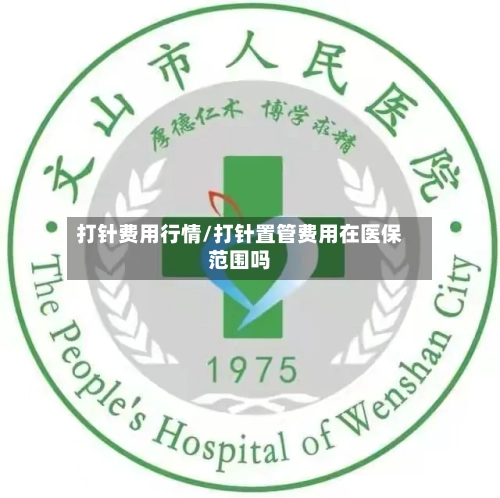 打针费用行情/打针置管费用在医保范围吗-第2张图片