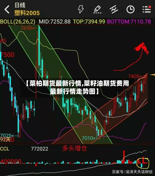 【菜柏期货最新行情,菜籽油期货费用最新行情走势图】