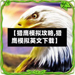 【猎鹰模拟攻略,猎鹰模拟英文下载】