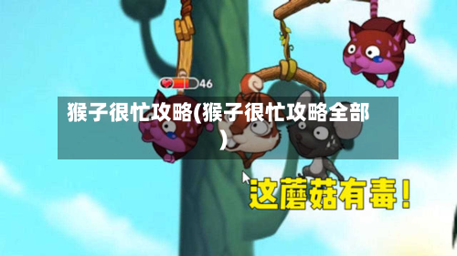 猴子很忙攻略(猴子很忙攻略全部)-第2张图片