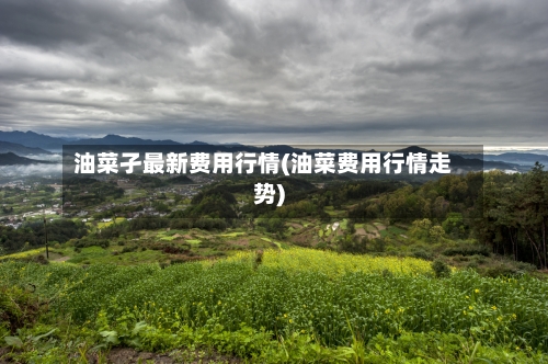 油菜孑最新费用行情(油菜费用行情走势)