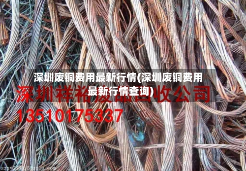 深圳废铜费用最新行情(深圳废铜费用最新行情查询)-第2张图片
