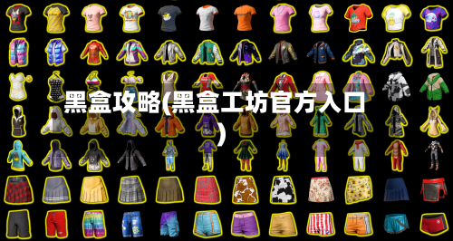 黑盒攻略(黑盒工坊官方入口)