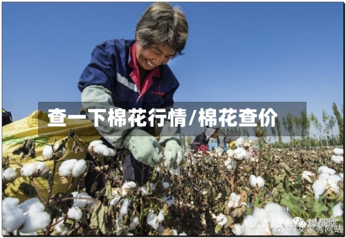 查一下棉花行情/棉花查价