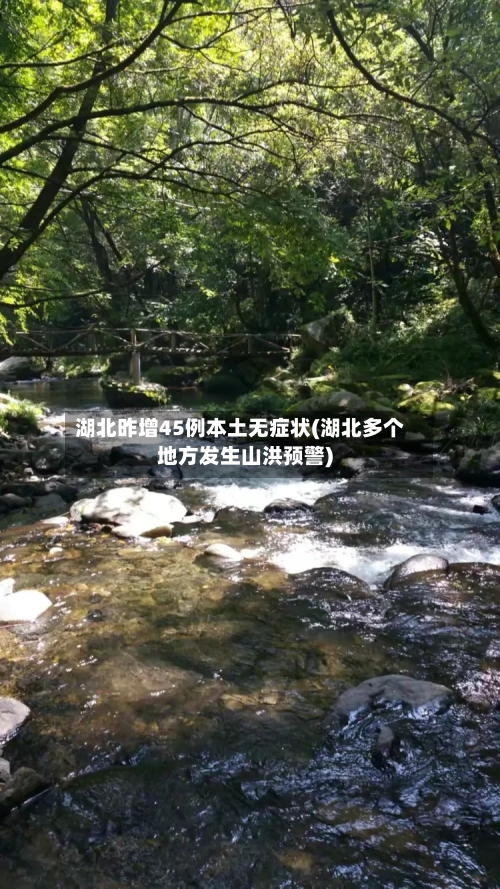 湖北昨增45例本土无症状(湖北多个地方发生山洪预警)