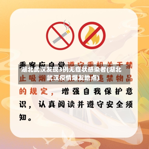 湖北武汉发现3例无症状感染者(湖北武汉疫情爆发地点)-第2张图片