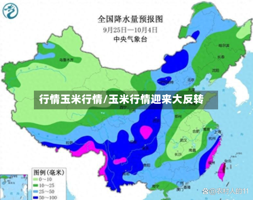 行情玉米行情/玉米行情迎来大反转-第3张图片